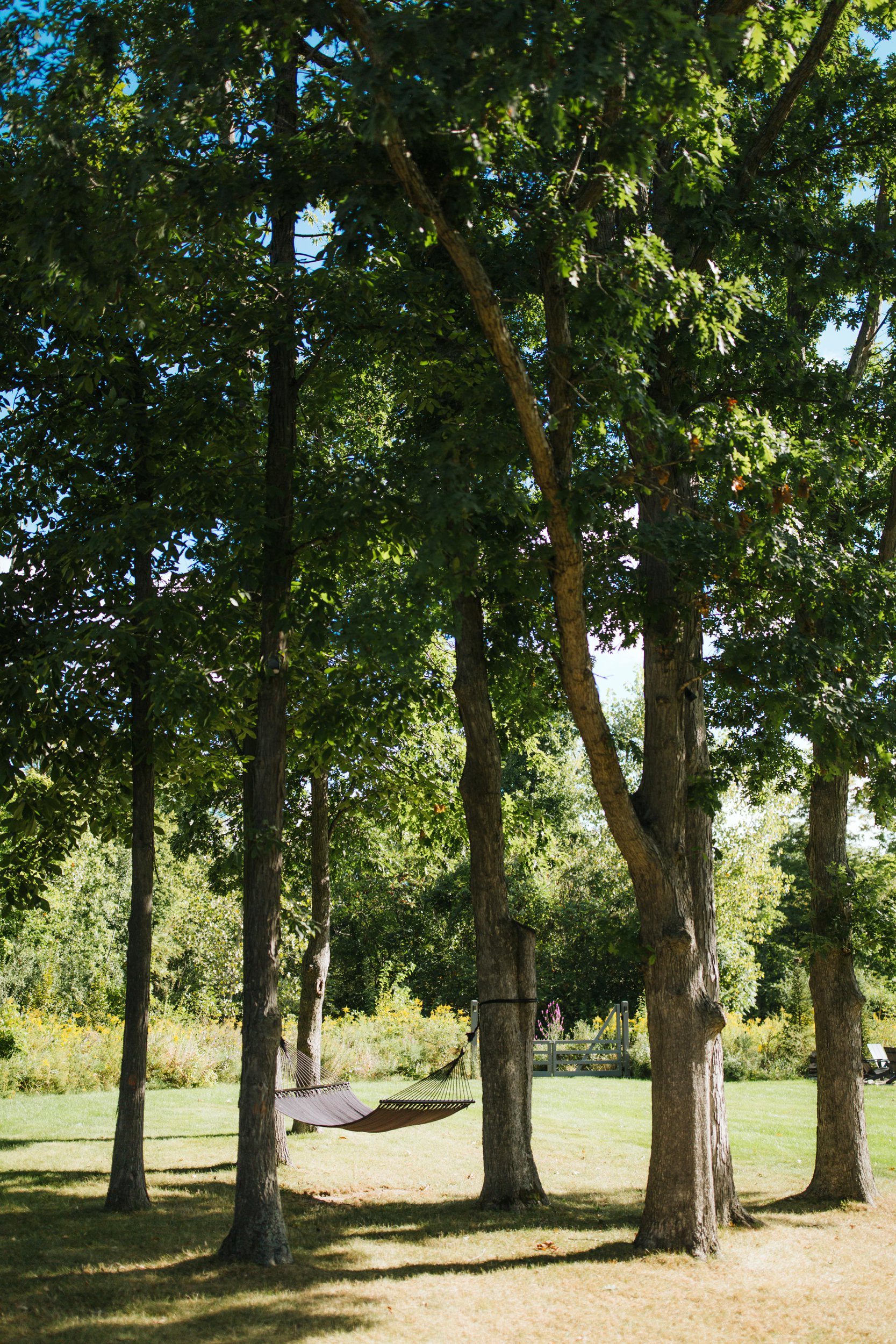 www.givingtreephotography.com-Tetonswedding_0313.jpg